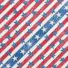 Ryan's Pet Supplies American Denim Dog Bandana