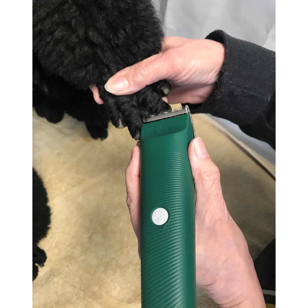Ryan's Pet Supplies Andis Green Vida Cordless Clipper - Lithium-ion Power