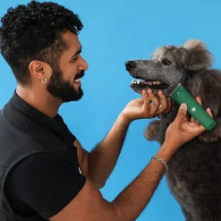 Ryan's Pet Supplies Andis Green Vida Cordless Clipper - Lithium-ion Power