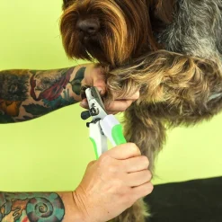 Ryan's Pet Supplies Andis Nail Clipper - Large