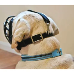 Ryan's Pet Supplies Baskerville Ultra Muzzle Size 5 Lab