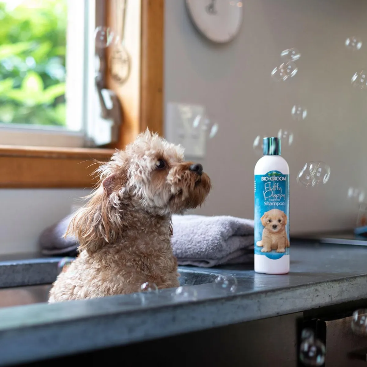 Ryan's Pet Supplies Bio-Groom Fluffy Puppy Shampoo RTU