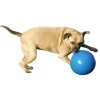 Ryan's Pet Supplies Boomer Ball Small 4"