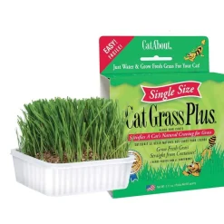 Ryan's Pet Supplies Cat Grass Plus -  Grow Grass in 1 Week (single size)