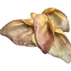 Ryan's Pet Supplies Chasing Our Tails Pig Ears 100 pk