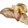 Ryan's Pet Supplies Chasing Our Tails Pig Ears 50 pk