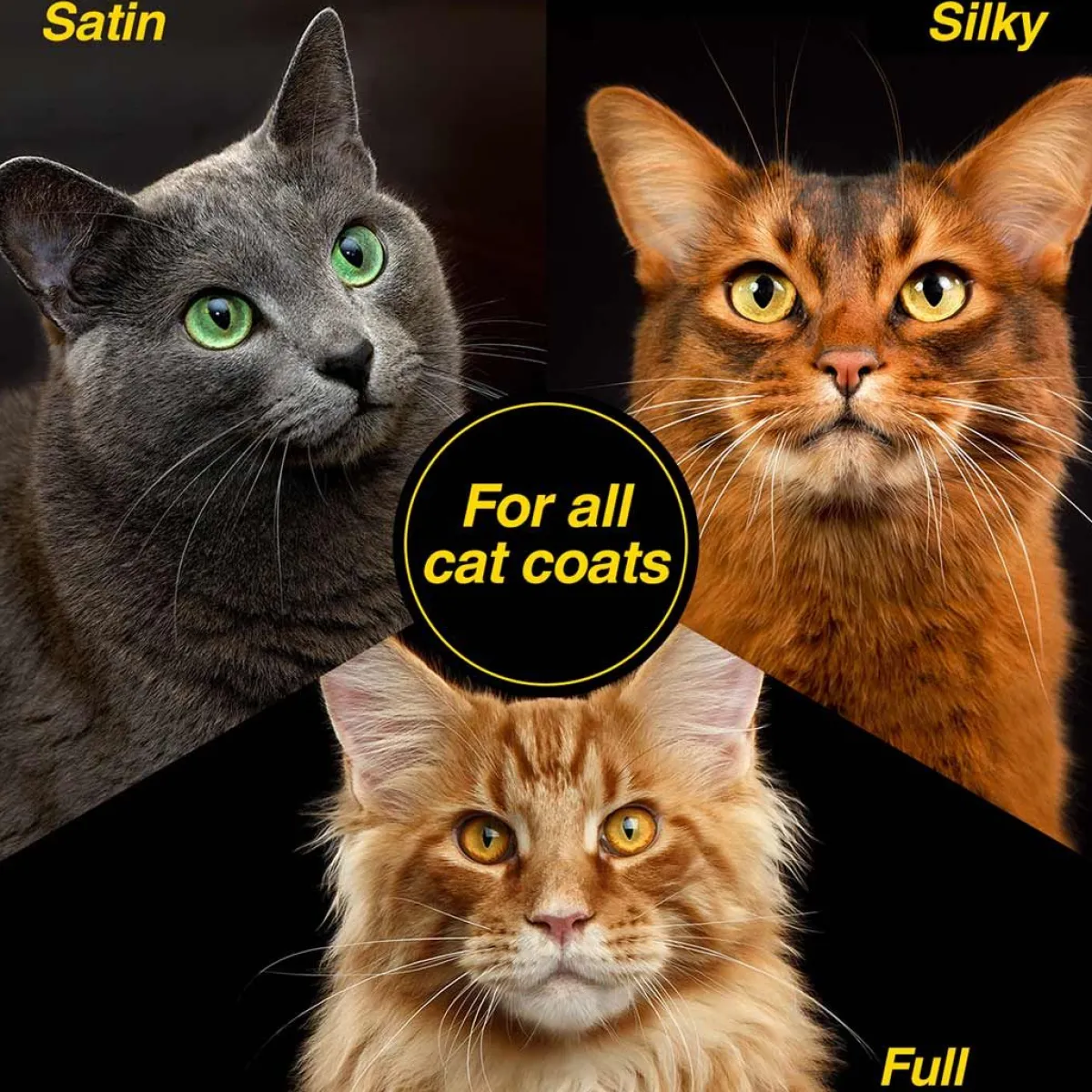 Ryan's Pet Supplies Chris Christensen Top Cat Gentle Facial Wash