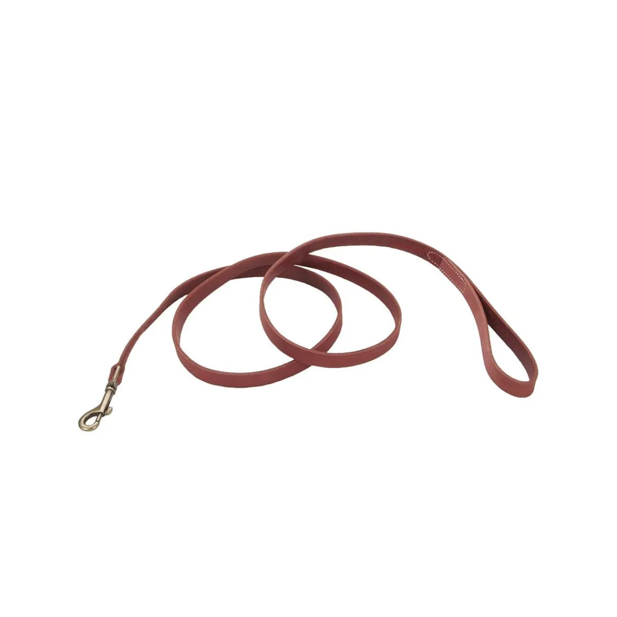 Ryan's Pet Supplies Circle T Rustic Leather Leash 3/4" x 6'