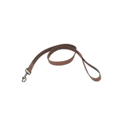 Ryan's Pet Supplies Circle T Rustic 1" X 4' Leather Leash