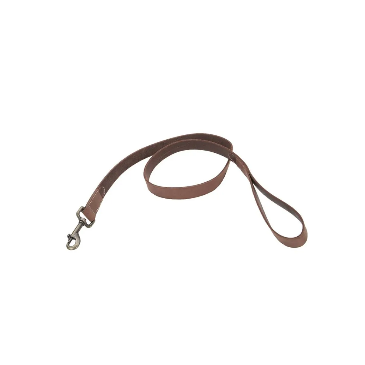 Ryan's Pet Supplies Circle T Rustic 1" X 4' Leather Leash