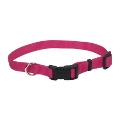 Ryan's Pet Supplies Coastal Adjustable Pet Collars - Medium with Plastic Snap