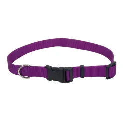 Ryan's Pet Supplies Coastal Adjustable Pet Collars - Medium with Plastic Snap
