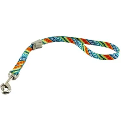 Ryan's Pet Supplies Coastal Camlock Grooming Loop 3/8" X 24"