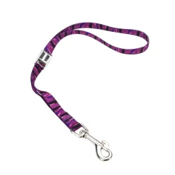 Ryan's Pet Supplies Coastal Camlock Grooming Loop 5/8" X 24"