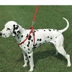 Ryan's Pet Supplies Coastal Comfort Wrap Adjustable Harness XS 3/8" by 12-18"