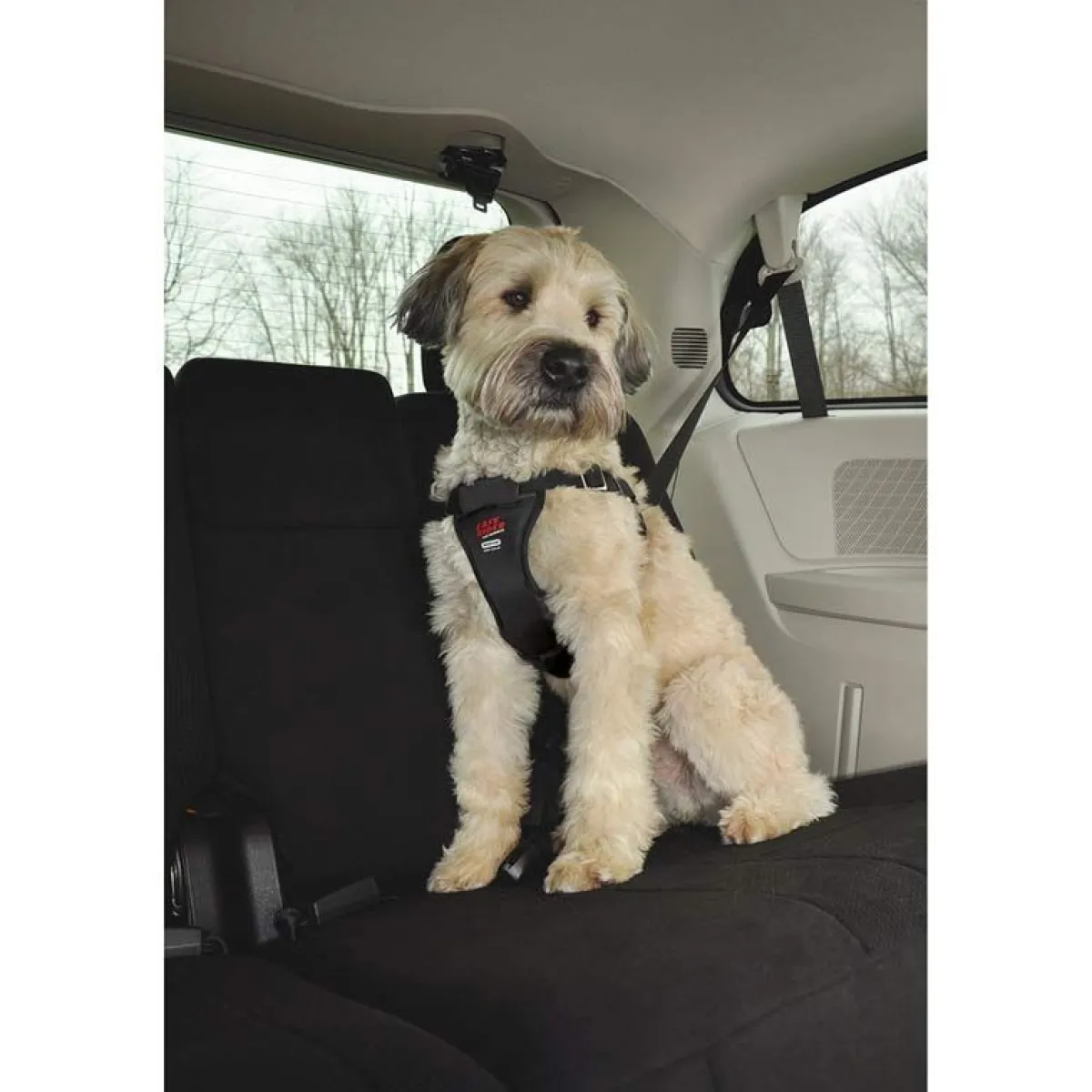 Ryan's Pet Supplies Coastal Easy Rider Car Harness Medium