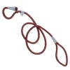 Ryan's Pet Supplies Coastal K9 Explorer Braided Rope Slip Leash 6'