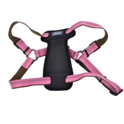 Ryan's Pet Supplies Coastal K9 Explorer Large Harness 1" by 26-38"