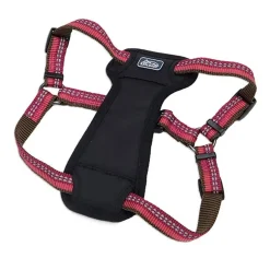Ryan's Pet Supplies Coastal K9 Explorer Medium Harness 1" by 20-30"