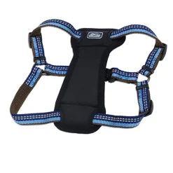 Ryan's Pet Supplies Coastal K9 Explorer Medium Harness 1" by 20-30"