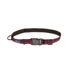 Ryan's Pet Supplies Coastal K9 Explorer 1" Collar 18-26"