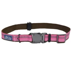 Ryan's Pet Supplies Coastal K9 Explorer 1" Collar 18-26"
