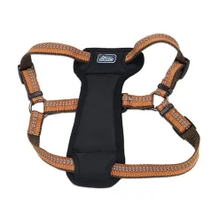 Ryan's Pet Supplies Coastal K9 Explorer XS Step In Dog Harness 5/8" x 12-18"