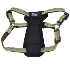 Ryan's Pet Supplies Coastal K9 Explorer XS Step In Dog Harness 5/8" x 12-18"