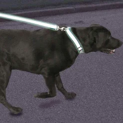 Ryan's Pet Supplies Coastal Lazer Brite Reflective Lead 5/8" x 6'