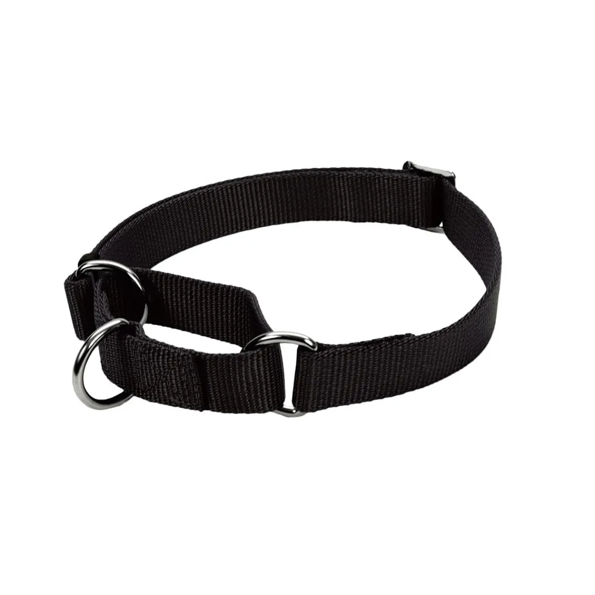 Ryan's Pet Supplies Coastal No Slip! Martingale Collar - Large 1"