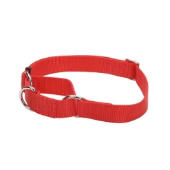 Ryan's Pet Supplies Coastal No Slip! Martingale Collar - Large 1"