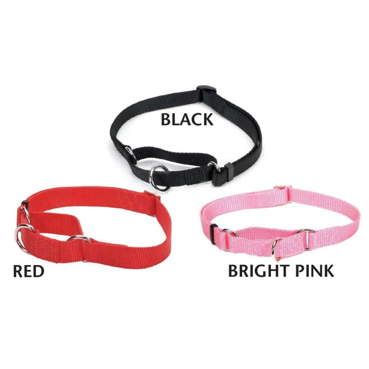 Ryan's Pet Supplies Coastal No Slip! Martingale Collar - Medium 3/4"