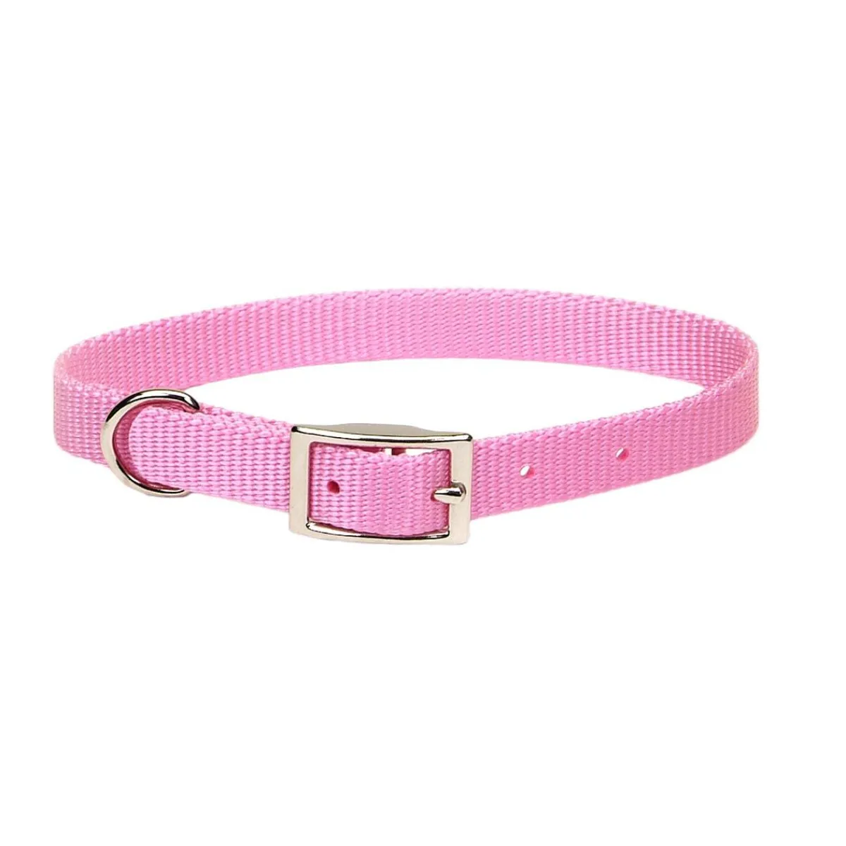 Ryan's Pet Supplies Coastal Nylon Dog Collars 5/8''