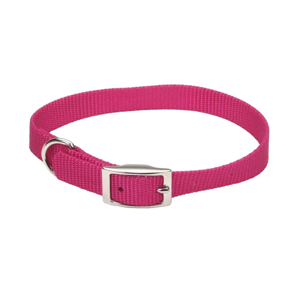 Ryan's Pet Supplies Coastal Nylon Dog Collars 5/8''