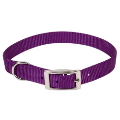 Ryan's Pet Supplies Coastal Nylon Dog Collars 5/8''