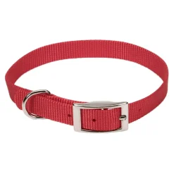 Ryan's Pet Supplies Coastal Nylon Dog Collars 5/8''