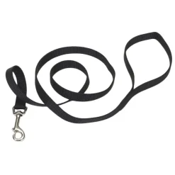 Ryan's Pet Supplies Coastal Nylon Dog Leash for Small Breeds 6' x 1"
