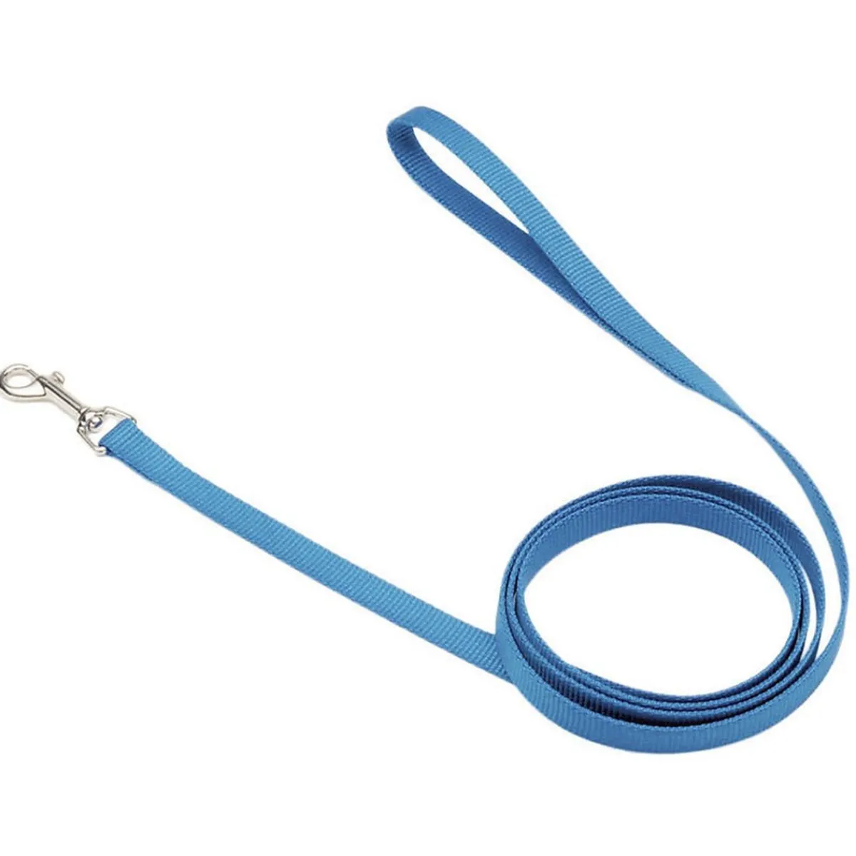 Ryan's Pet Supplies Coastal Nylon Dog Leash for Small Breeds 6' x 1"