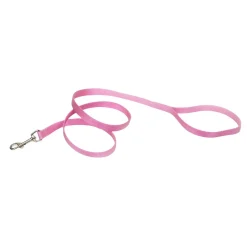 Ryan's Pet Supplies Coastal Nylon Dog Leash for Small Breeds 6' x 1"