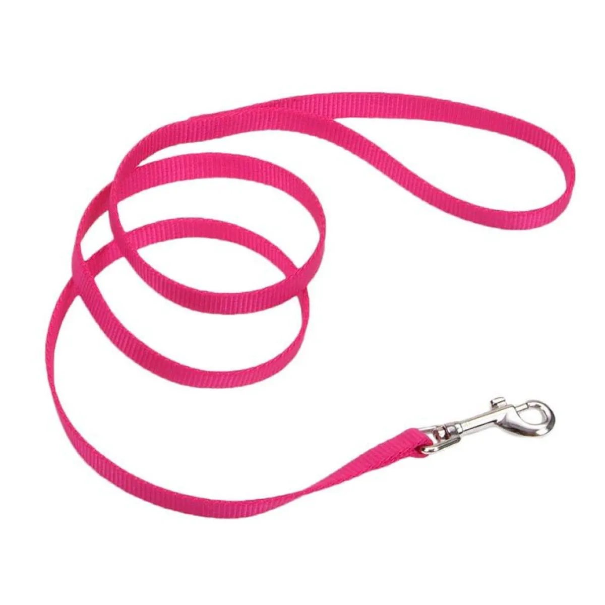 Ryan's Pet Supplies Coastal Nylon Dog Leash for Small Breeds 6' x 1"