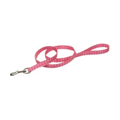 Ryan's Pet Supplies Coastal Nylon Dog Leash (4' x 3/4'')
