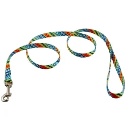 Ryan's Pet Supplies Coastal Nylon Dog Leash (4' x 3/4'')