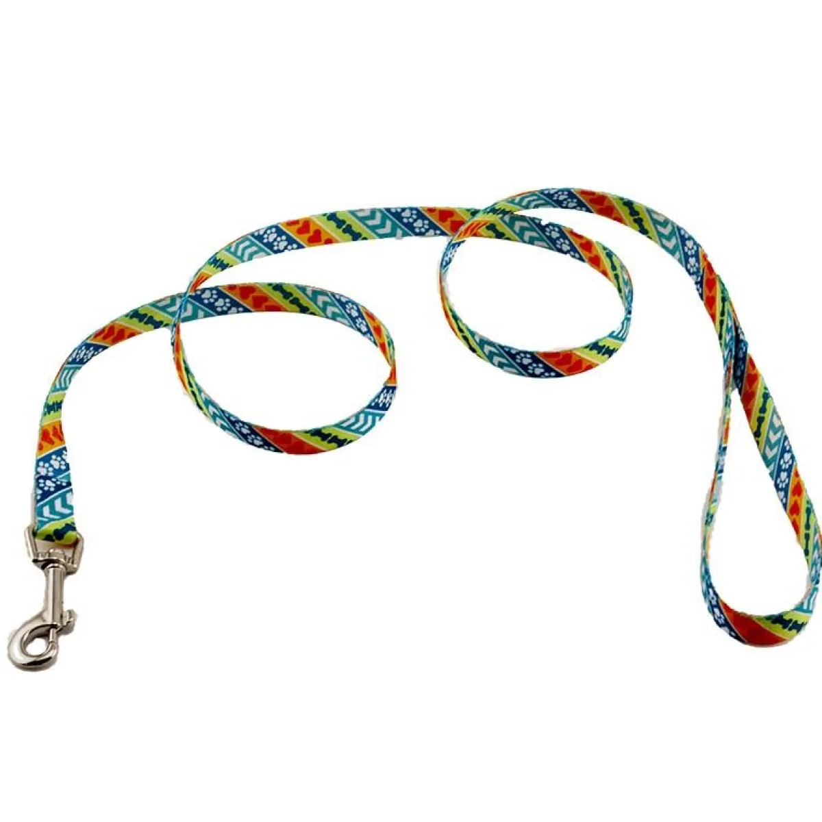Ryan's Pet Supplies Coastal Nylon Dog Leash (4' x 3/4'')