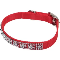 Ryan's Pet Supplies Coastal Nylon Jewel Collars 5/8"