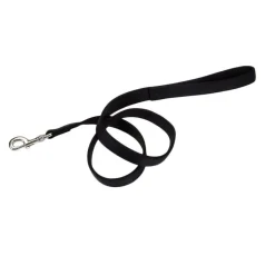 Ryan's Pet Supplies Coastal Nylon Leads 2 Ply 4' X 1''