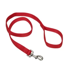 Ryan's Pet Supplies Coastal Nylon Leads 2 Ply 6' X 1''