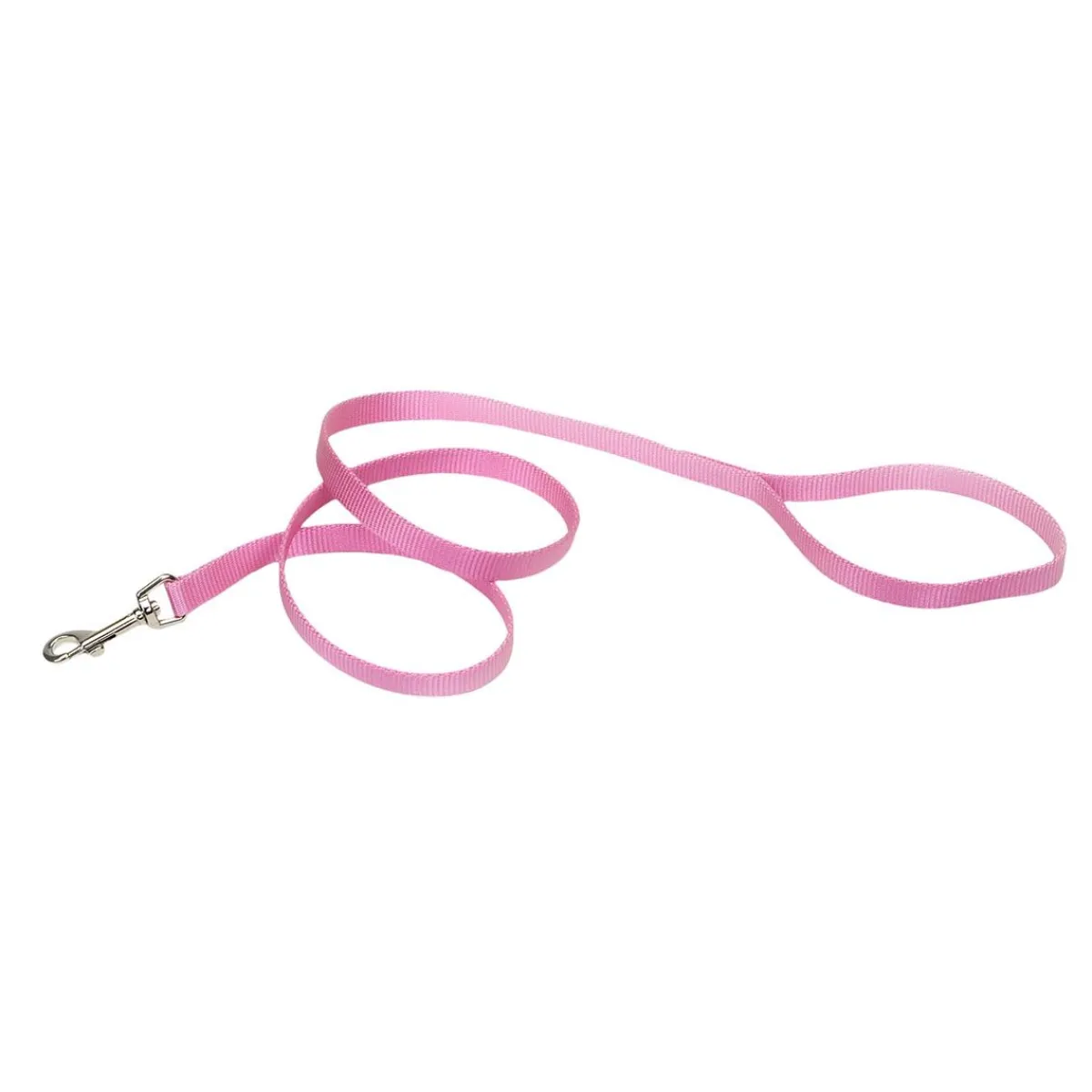Ryan's Pet Supplies Coastal Nylon Leads 5/8" x 6'
