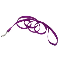 Ryan's Pet Supplies Coastal Nylon Leads 5/8" x 6'