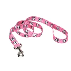 Ryan's Pet Supplies Coastal Nylon Leads 4' X 1''