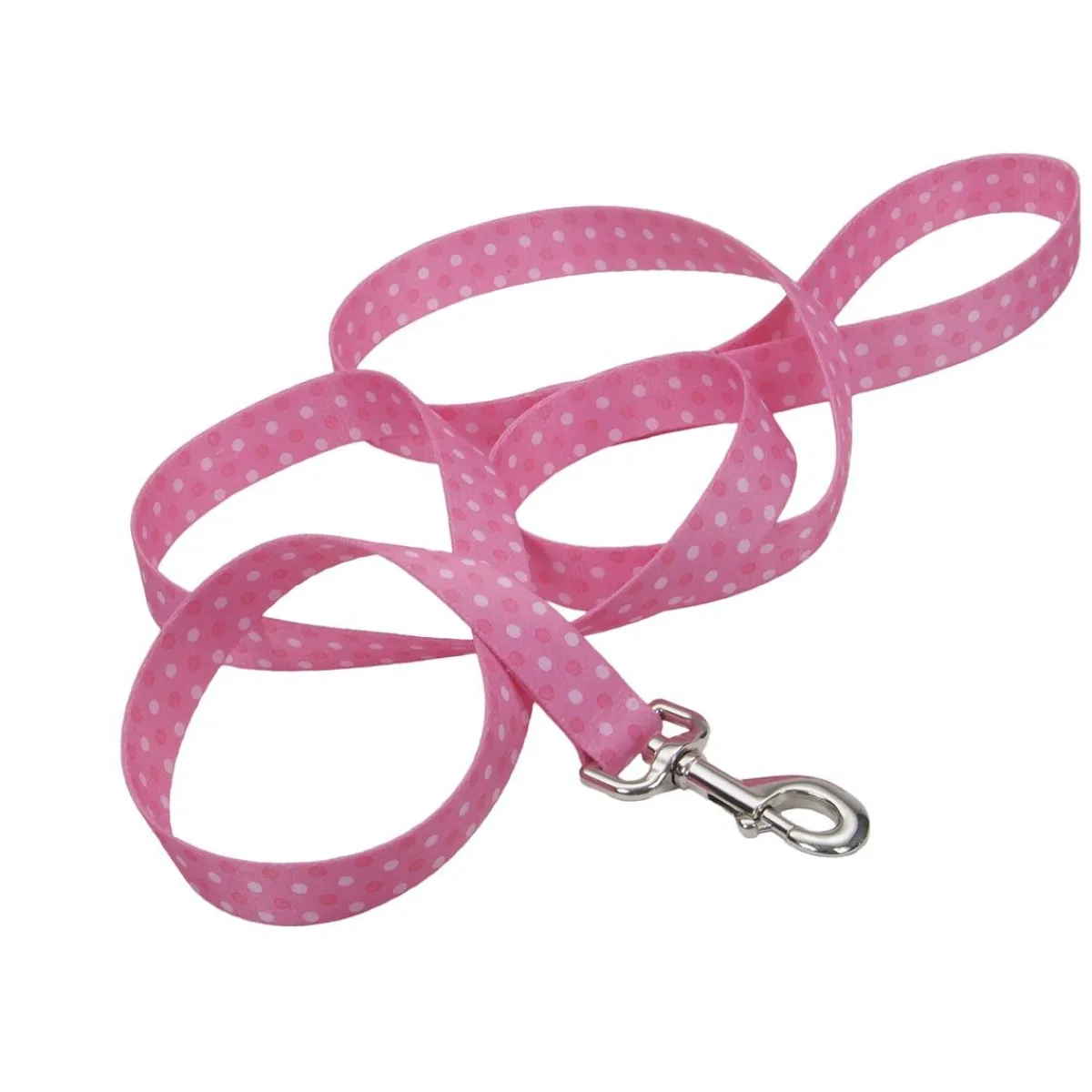 Ryan's Pet Supplies Coastal Nylon Leads 4' X 1''